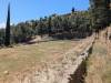 186 - 20240503 Delphi