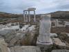 238 - 20240504 Delos Google