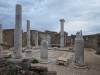 245 - 20240504 Delos Google