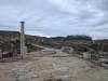 264 - 20240504 Delos Google