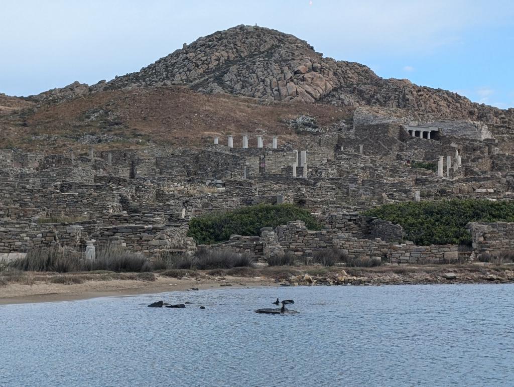 124 - 20240504 Delos Google