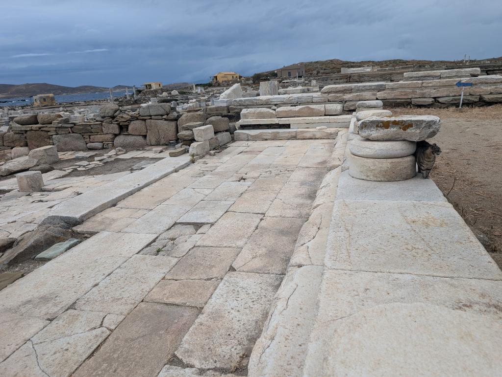 201 - 20240504 Delos Google