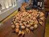 2107 - 20240505 Santorini Wine Museum Google