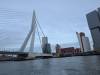 5236 - 20250222 Rotterdam