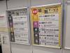1125 - 20250410 Tokyo Google Pixel 9 Pro XL