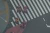 1155 - 20250410 Tokyo Panasonic DC-ZS200D