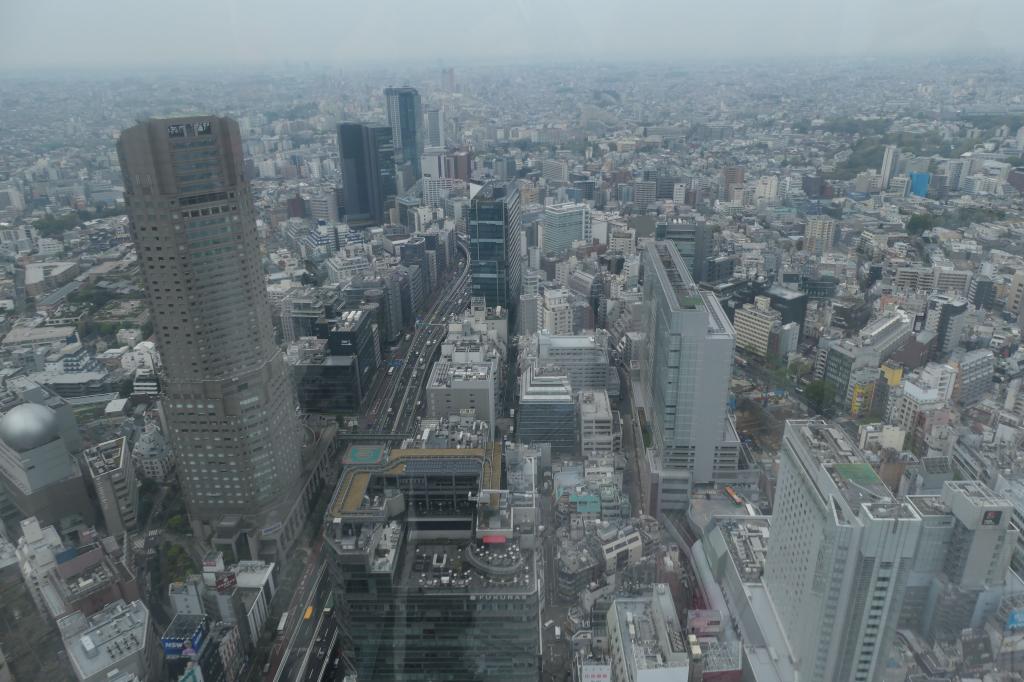 1148 - 20250410 Tokyo Panasonic DC-ZS200D