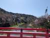 2253 - 20250413 Takayama Google Pixel 9 Pro XL