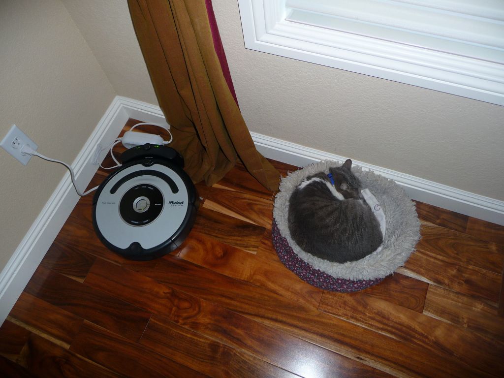 both roombas are charging