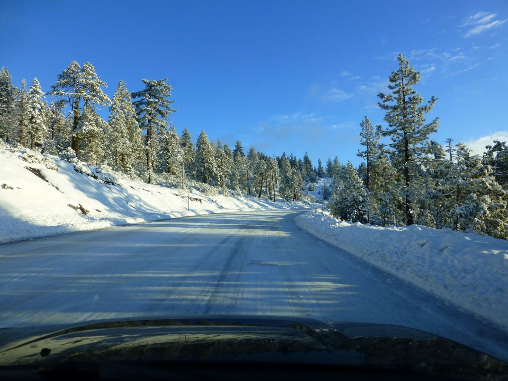 drive up was much nicer than expected, even if the snow line was low.