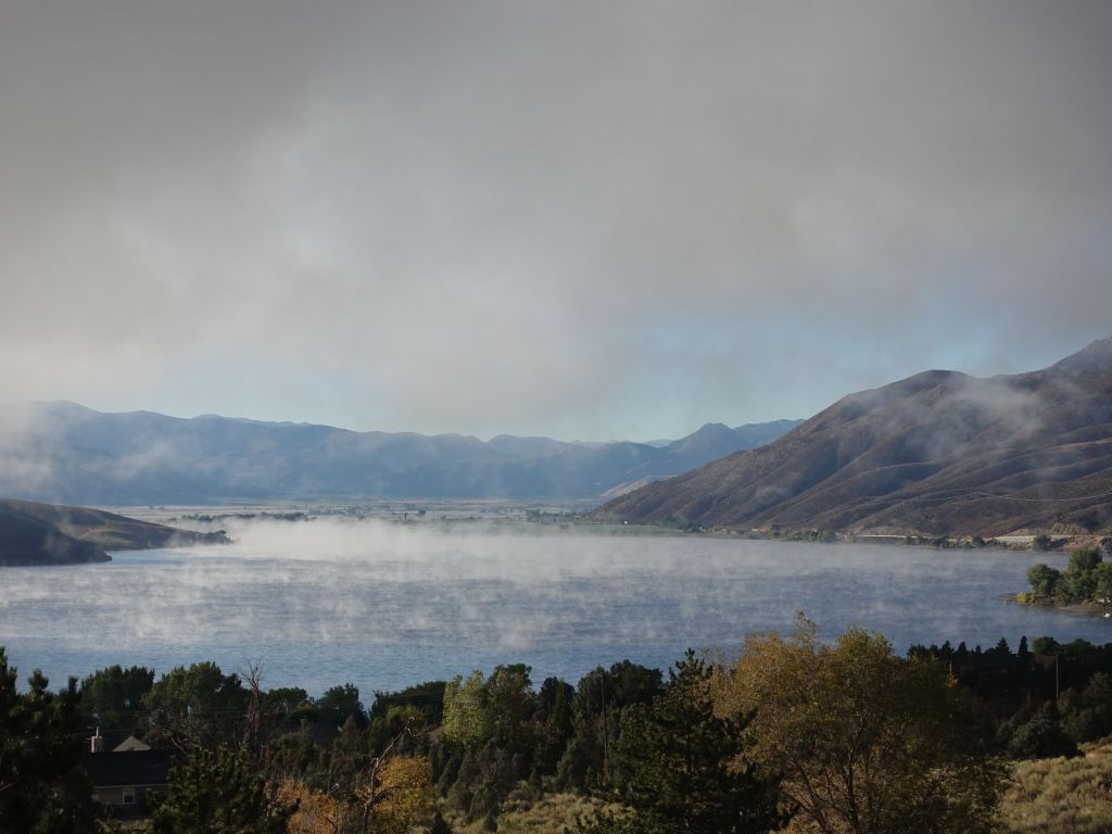 nice morning fog