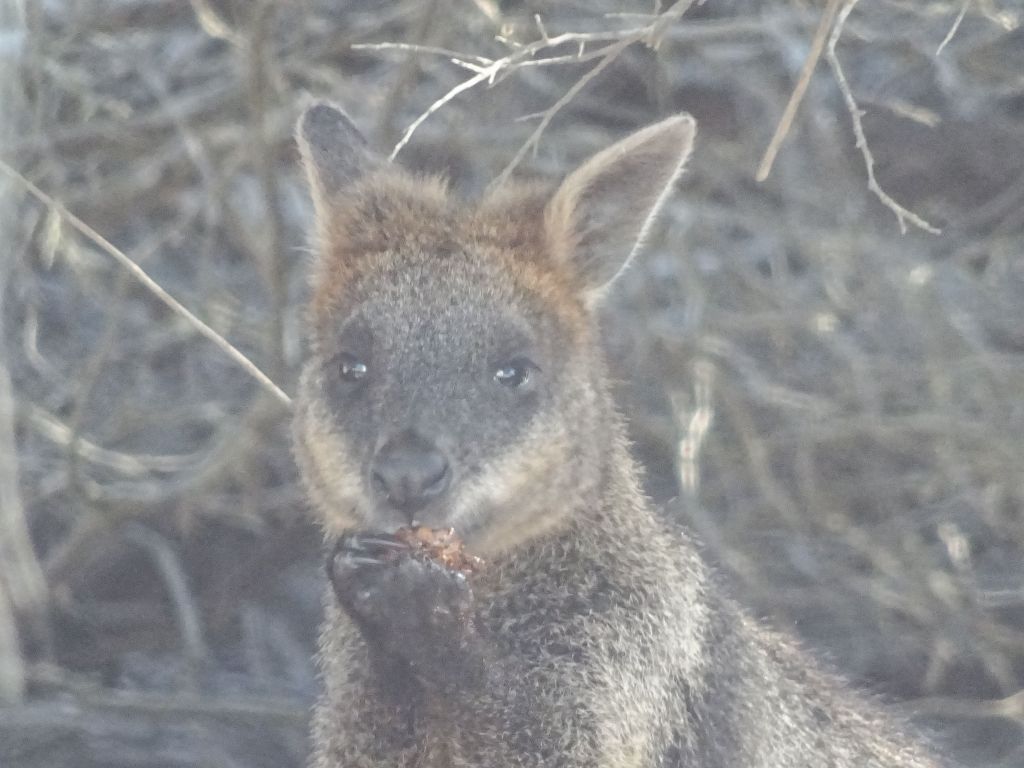 happily eating something :)