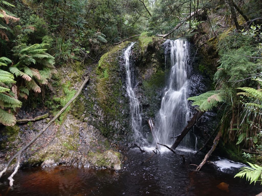 After a quick dinner, we walked to Hogarth Falls but didn't get to see any Platypus