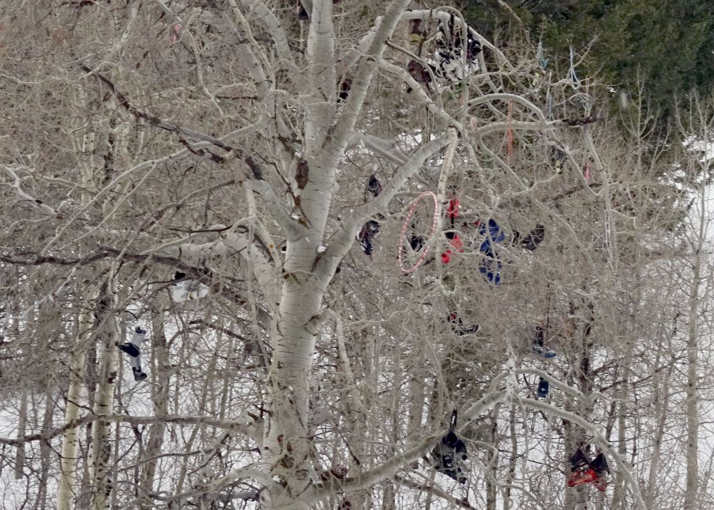 ski boot tree