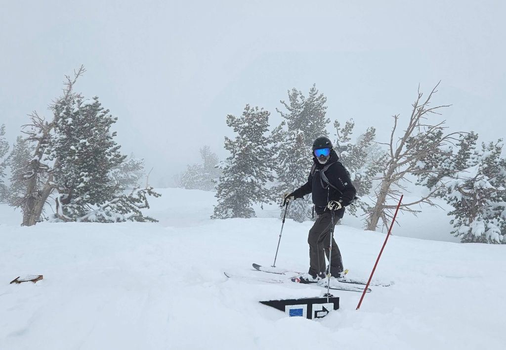 plenty of snow still, signs are still buried