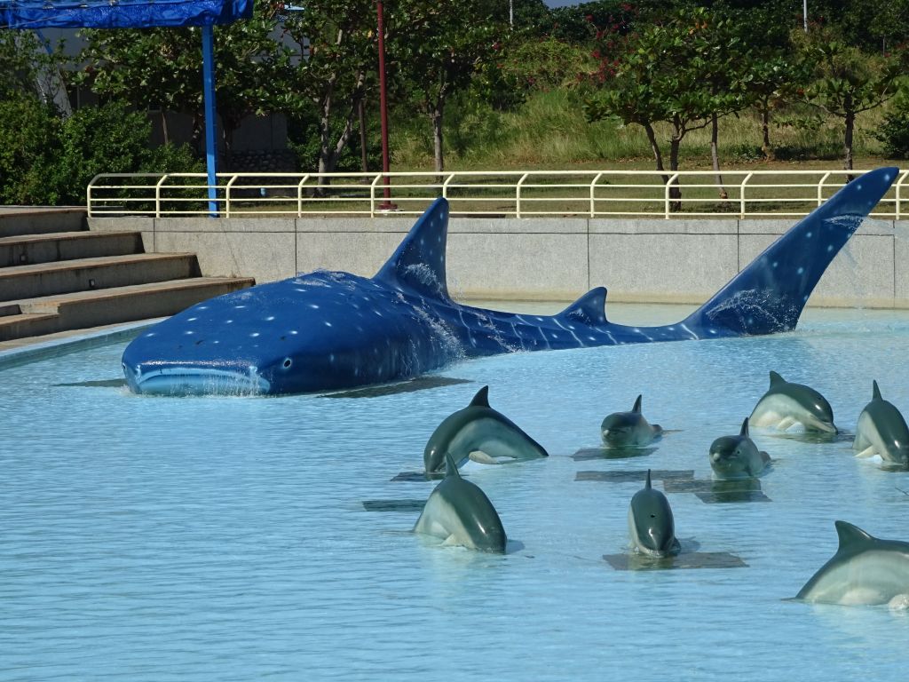 the aquarium used to have a whale shark, but released it because their tank was too small and it was deemed inhumane