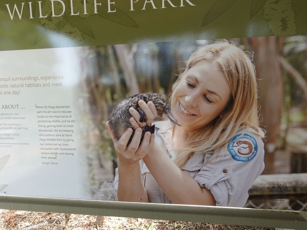 they also have platypus, but we got there at the wrong time and they were not visible