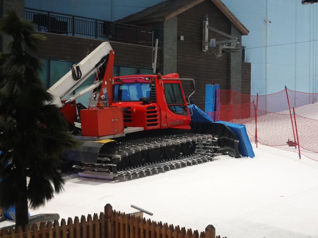 really cool to see a groomer indoors