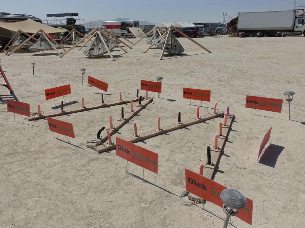 despite the lack of water, things grow on the playa