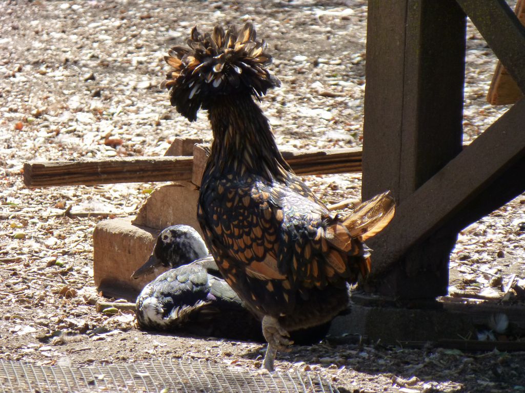 You need a haircut, buddy :)