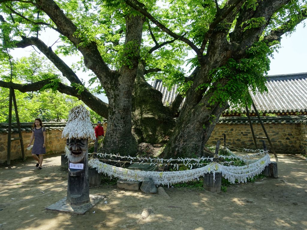 wishing tree