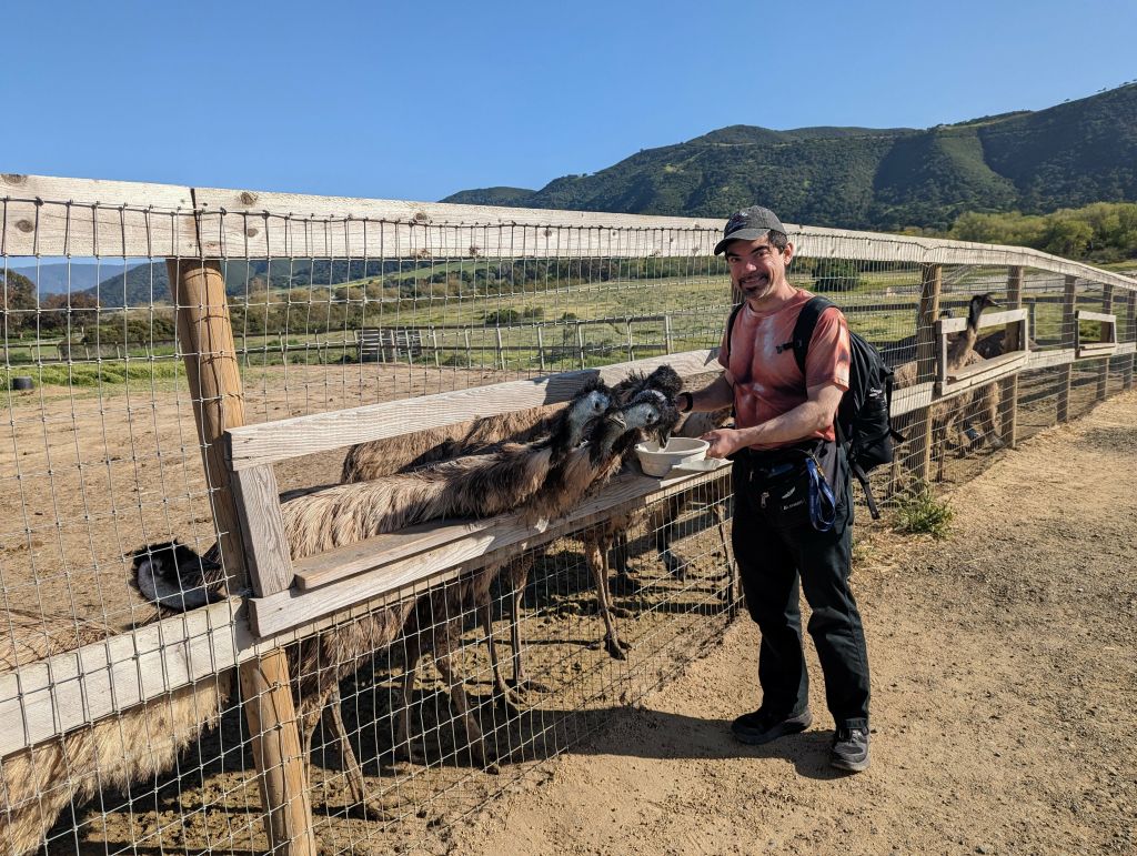 the Emus are so much nicer and gentle :)