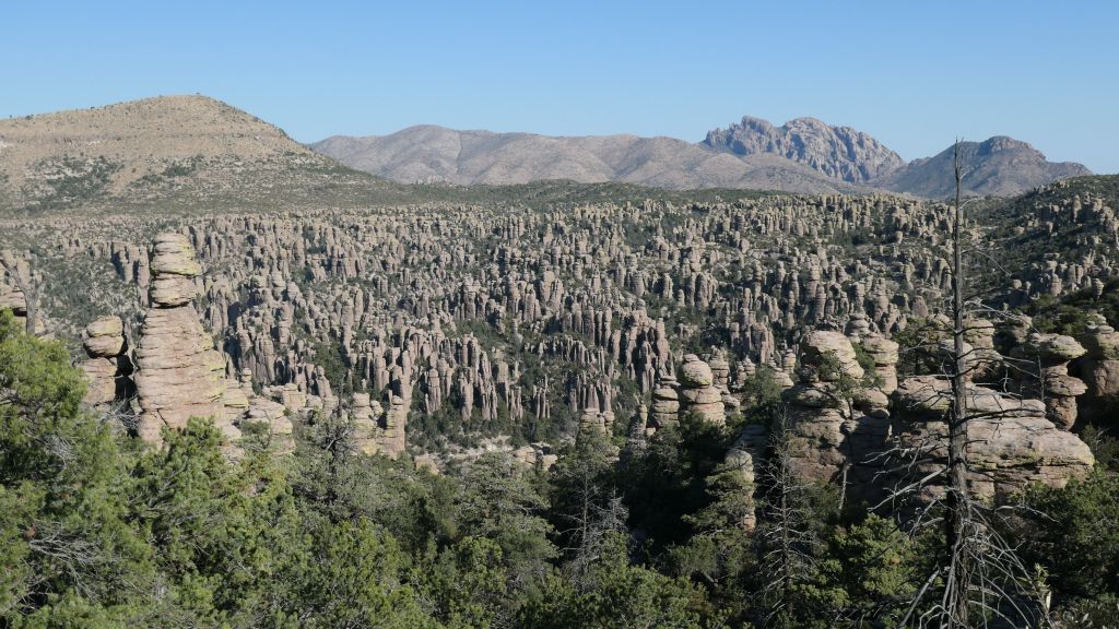 damn, that's a lot of rocks