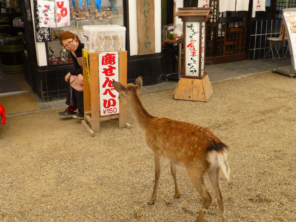 this one knew where the rice crackers came from :)