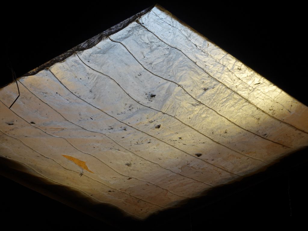 seal guts is also used as windows