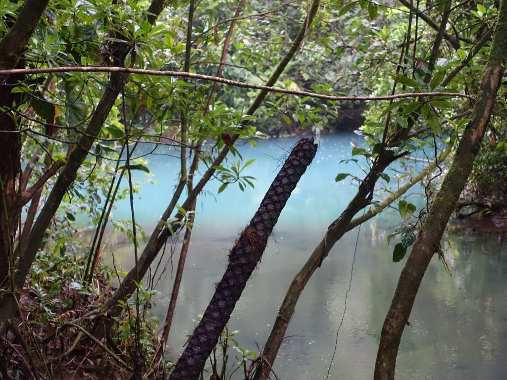 you can see the volcanic water mixing with the river and causing the nice blue