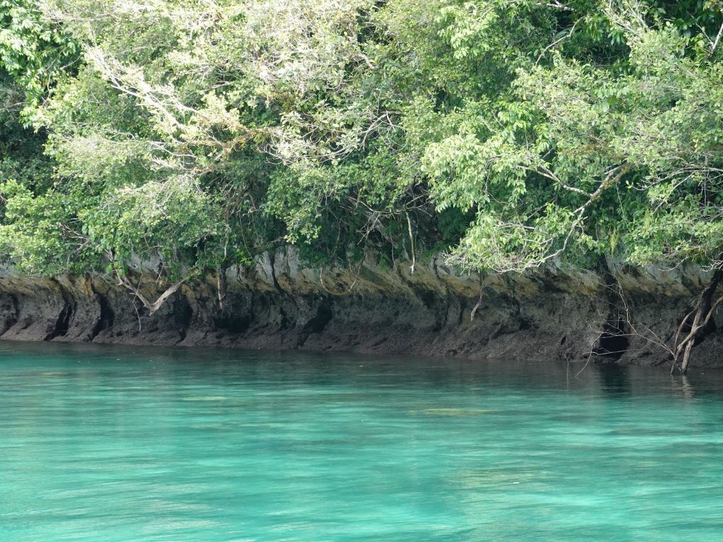 we saw many of the rock islands that are concave because of errosion and animals that eat the linestone in them