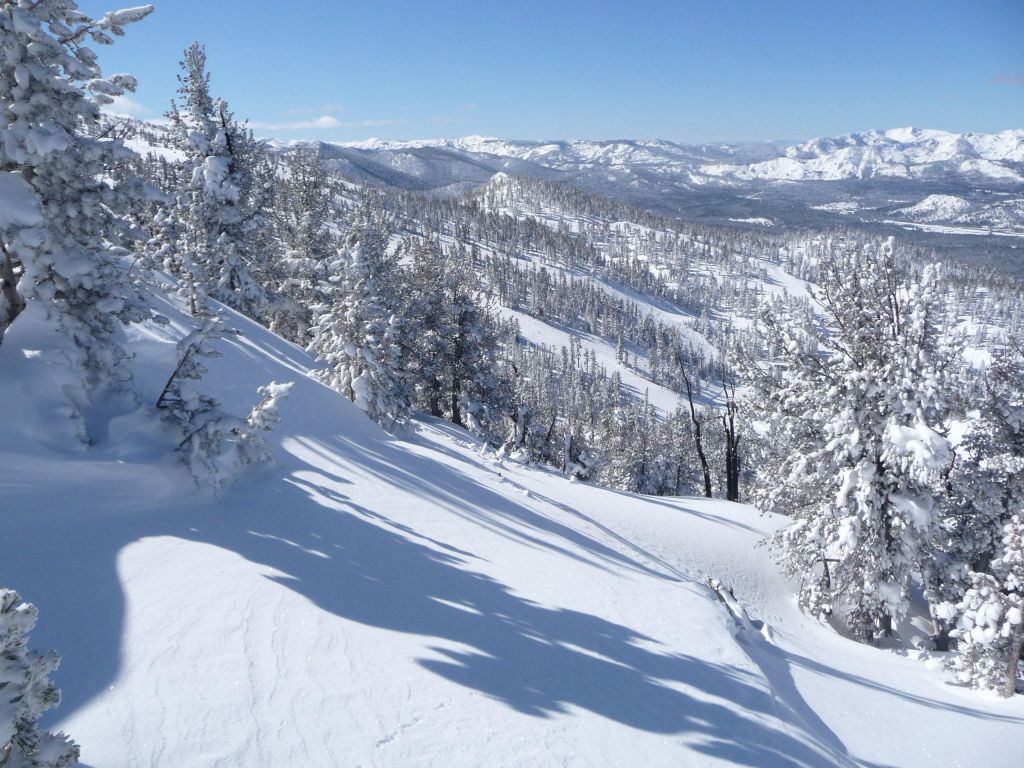 The tree runs from California Trail or off sky were great