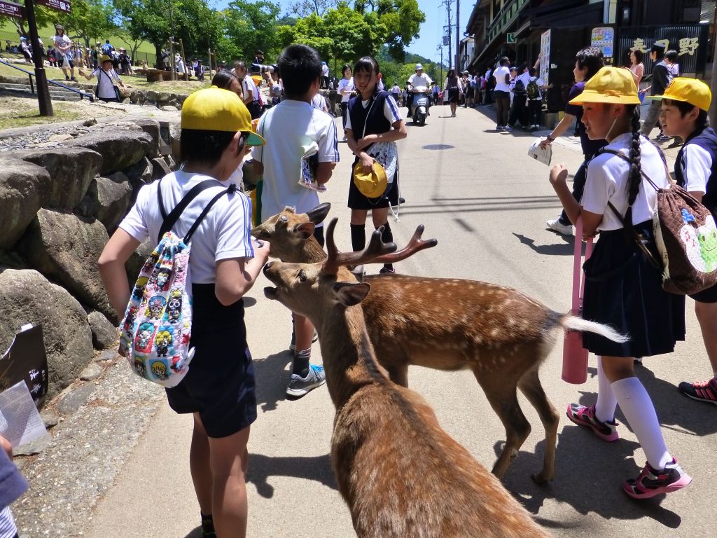 some school kids started being overwhelmed by the attention a bit :)