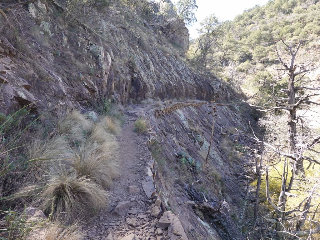 Boot Canyon was nice with shade, but we didn't get to see any bears