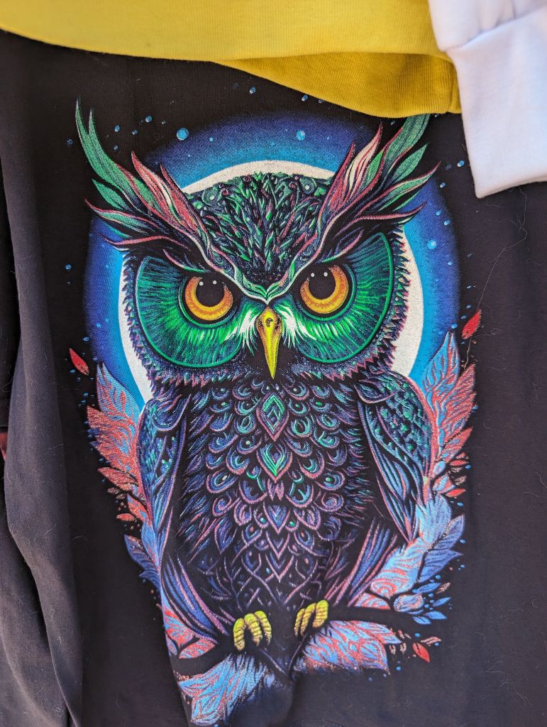 nice insomniac looking owl ;)