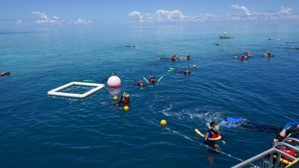 snorklers galore