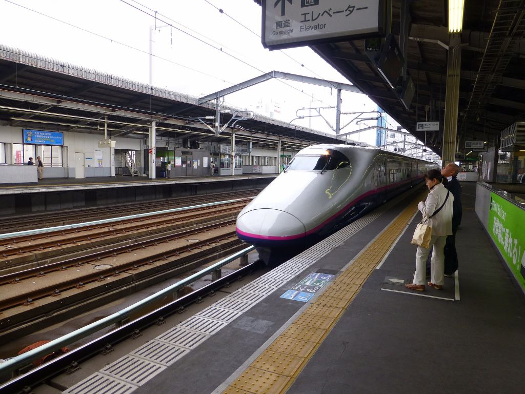 Pretty bullet train on our connection back to Tokyo from Nikko