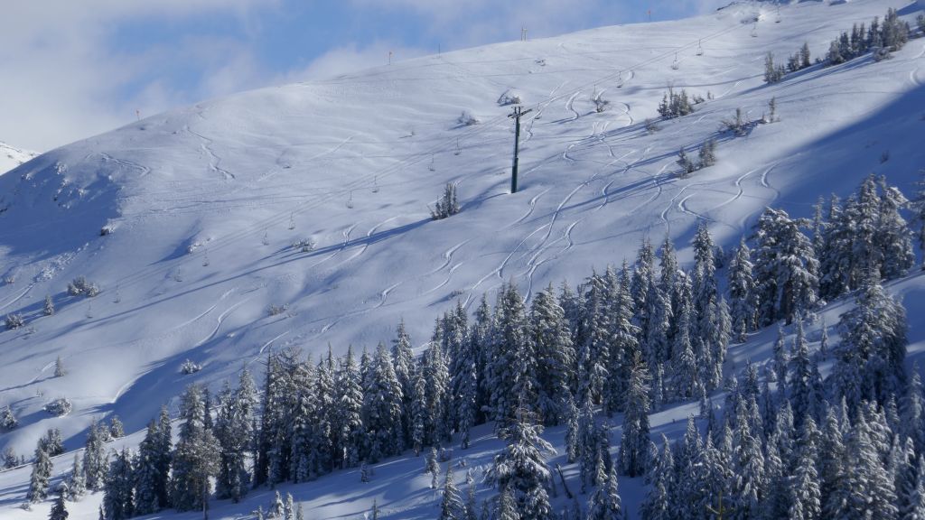 the wall looked enticing, but was only open to ski patrol