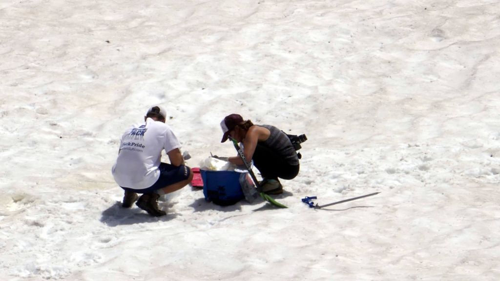 people studying snow