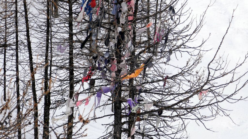 a nice bra tree