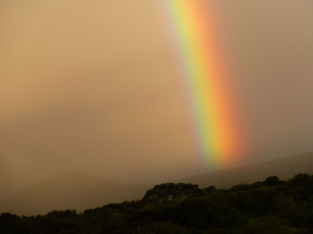 By the time we got to Hana, it was of course raining