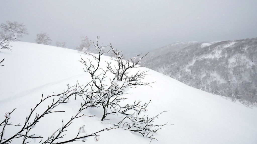 finally down to an open slope, all you can eat pow