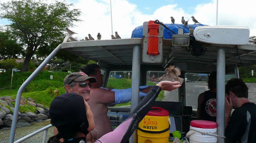 birdies came after each dive for some snaky cakes