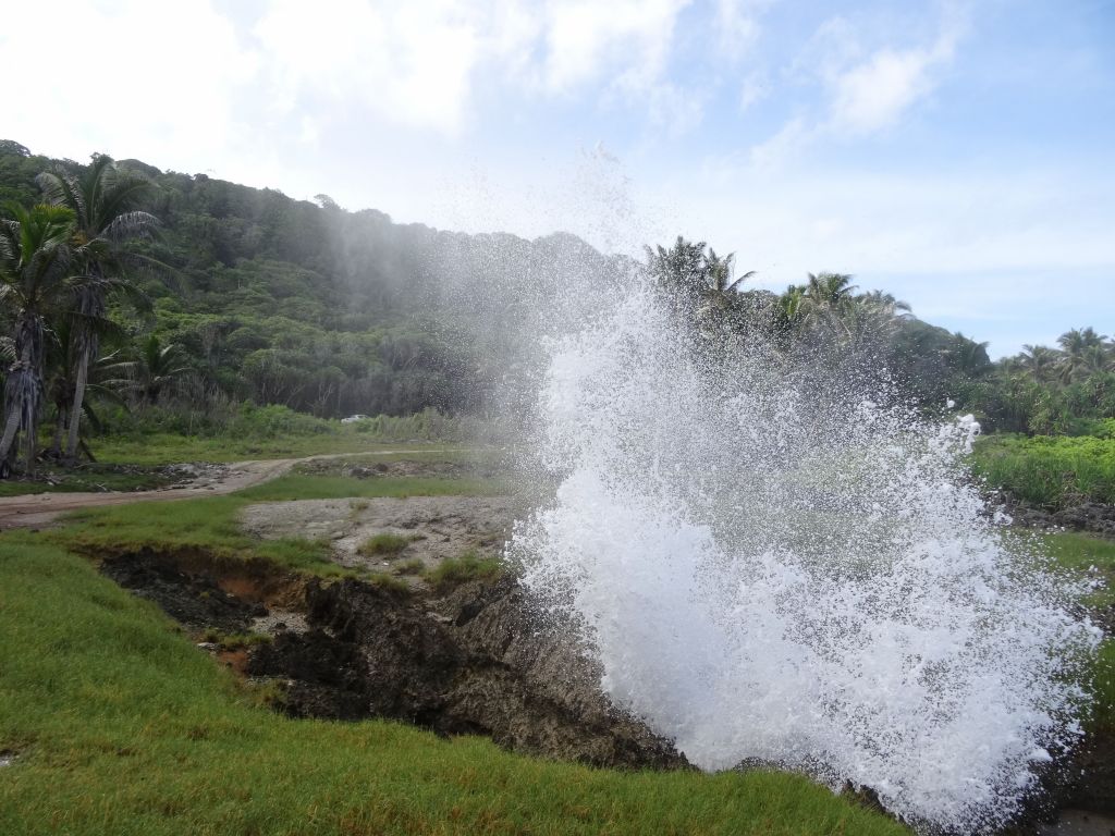 blowhole