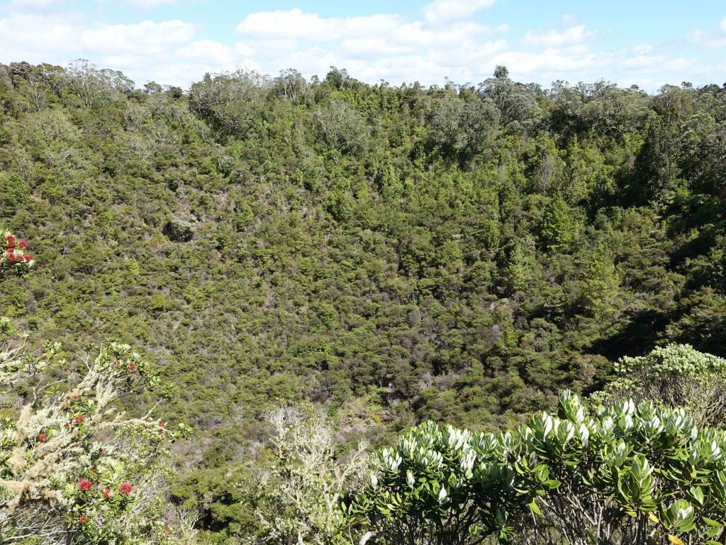 that's the volcano crater, but you can't really tell with all the trees