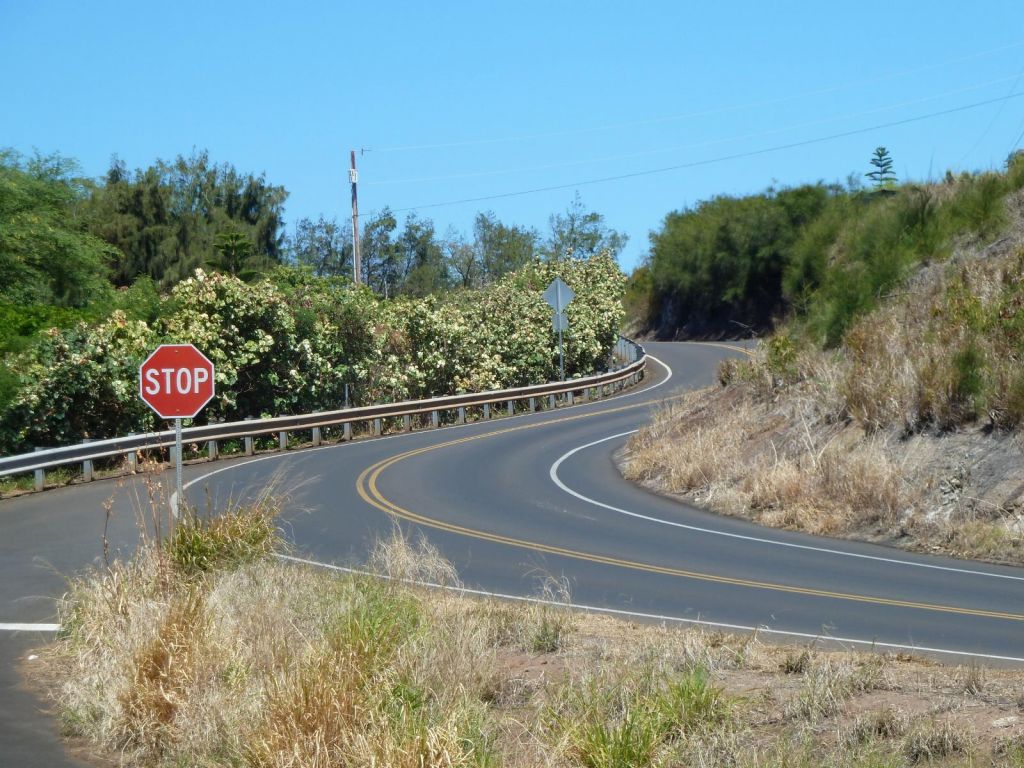 the road is nice at the beginning :)