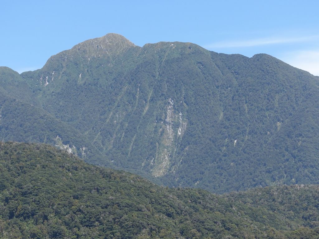 it's impressive that the trees can grow in such steep slopes