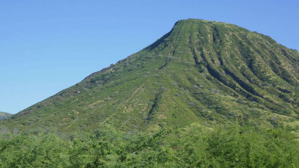 Koko crater hike, didn't have time to do it that trip. Maybe next time.