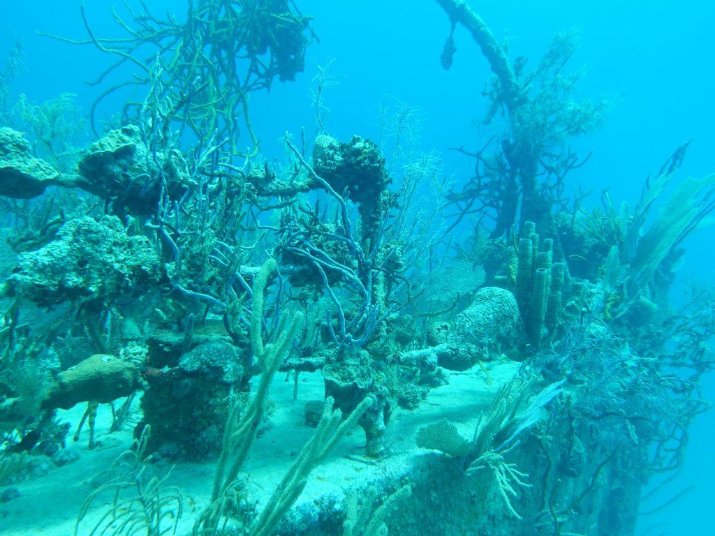 and prince albert wreck