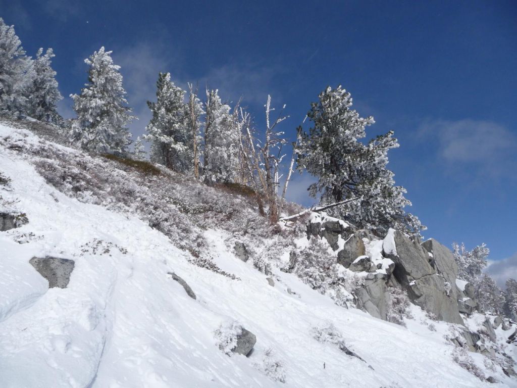 snow coverage was borderline coverage for february